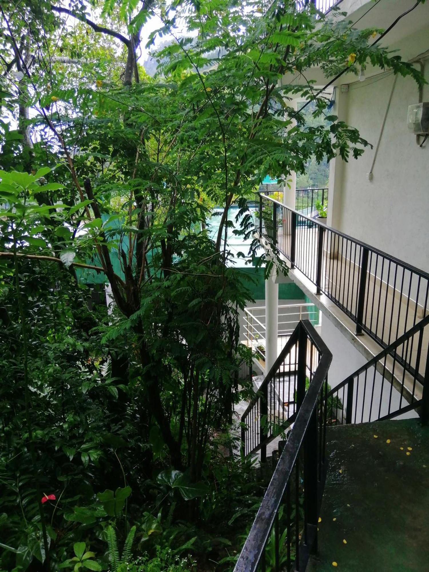 Super View Apartment Ella Room photo